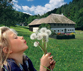 HoamART - die Kunst nachhaltig zu leben (20.05.2012, 9 - 17 Uhr, Einlass bis 16 Uhr)-