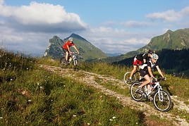 Gipfeltouren mit dem Mountainbike im Bregenzerwald Gipfeltouren mit dem Mountainbike im Bregenzerwald