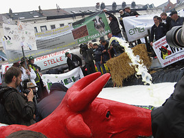 IG-Milch: Milchpreissenkung als logische Folge fataler Milchmarktpolitik