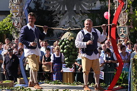 Poysdorf feiert 55. Bezirkswinzerfest! - BILD