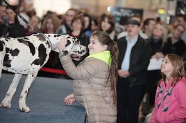 EXOTICA Veranstaltungen Haustiermesse Wien 2012: Begegnungen zwischen Mensch und Tier - BILD