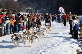 5. Internationales Schlittenhunderennen am 19. und 20. Jänner 2013 in Angerberg