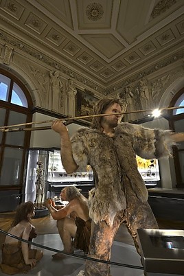 'Mensch(en) werden' - Neueröffnung der Anthropologie-Säle im NHM sowie Jahresrückblick 2012 und Vorschau 2013 - BILD