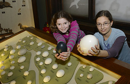 Osterferienprogramm im Naturhistorischen Museum Wien - BILD
