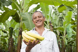 Leckerer Energiekick für den Wien Marathon: Gourmet-Bananen von SanLucar - BILD