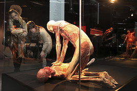 Der Internationale Museumstag am Sonntag, dem 12.5., im Naturhistorischen Museum Wien - BILD