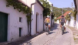 Poysdorfer Kellergassen erradeln