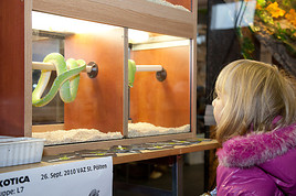 EXOTICA Reptilienmesse Wien diesen So. 26. Mai 2013 - BILD