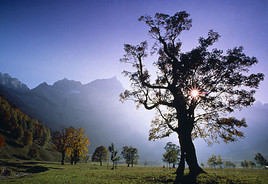 Herbststimmung am Großen Ahornboden