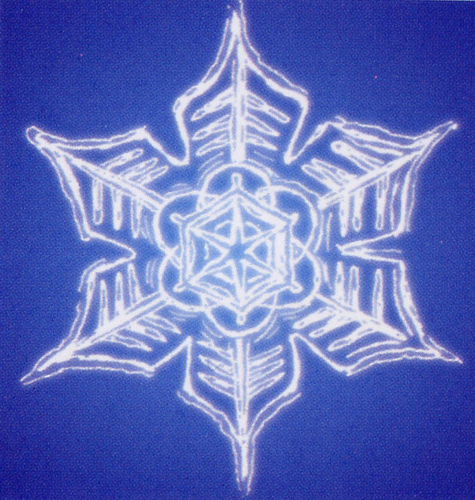 Bild Dr Masaru Emoto Abendvortrag 13102003 Otsat - 