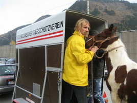 Osterreichischer Tierschutzverein Rettet Fohlen Vor Dem Metzger Osterreichischer Tierschutzverein 05 11 08