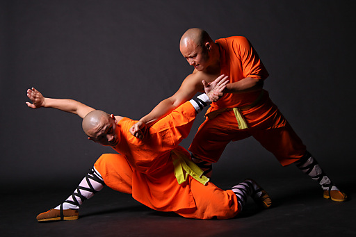 Shaolin Tempel Austria feiert 8jähriges Bestehen | Shaolin Tempel Austria, 27.08.2010