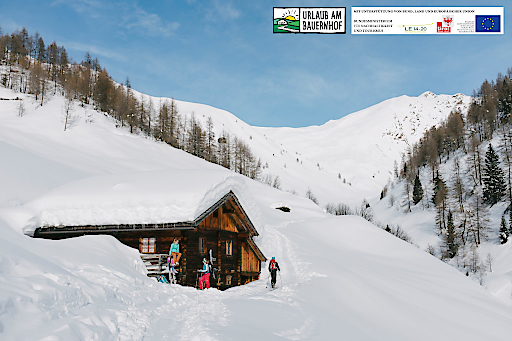 Bild Urlaub Am Bauernhof Tirol Unerwartet Grosses Skivergnugen