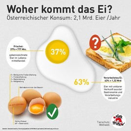 Mahnung Am Welt Ei Osterreich Importiert Tierleid Im Grossen Stil Vier Pfoten 07 10