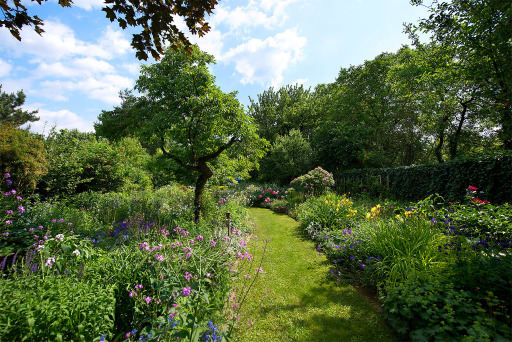 Bild: Blühendes Österreich und GLOBAL 2000: Aufruf zur Zählung der