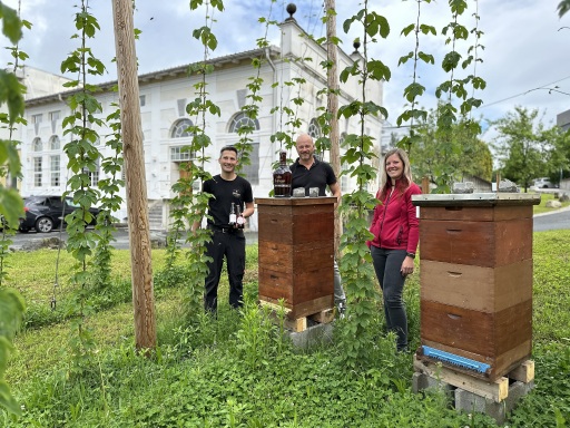 Bee sponsorship: Schleppe Brewery with the Carinthian State Association for Beekeeping